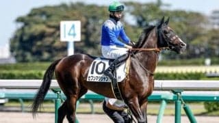 【京成杯予想オッズ】セブンマジシャンが予想1番人気