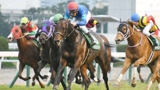 2019年に京阪杯Vのライトオンキューが競走馬登録抹消 今後は乗馬に