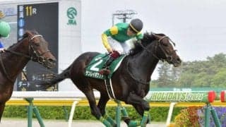 【日経新春杯予想】今回が絶好の狙い目！ もっとも魅力を感じる穴馬を紹介