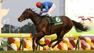 ライトオンキューが競走馬登録抹消