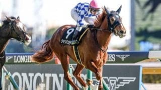 “京成杯の呪縛”を一掃できるか 祖父キングカメハメハの無念を孫が晴らす