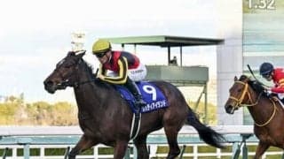 牝馬クラシックをいち早く予想する。識者５人が選定した今年の桜花賞馬とオークス馬