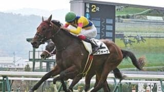 【京成杯展望】スタミナが要求されやすく、距離延長ローテは苦戦傾向