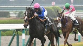 【京成杯出走馬・騎手確定】セブンマジシャン＆ルメール騎手、ソールオリエンス＆横山武史騎手など9頭