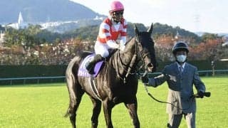 アカイイトが登録抹消 今後はサンデーヒルズで繁殖入り