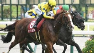 【愛知杯出走馬・騎手確定】アートハウス＆川田将雅騎手、マリアエレーナ＆松山弘平騎手など15頭