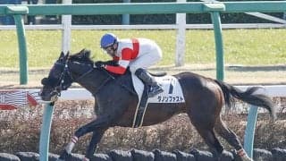 ダノンファスト＆ダンツキャッスルが60kgで門司S出走！ 平地に60kg以上は2年ぶり、Vなら21年ぶり