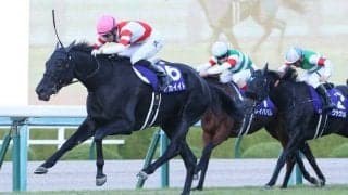 アカイイトが競走馬登録抹消