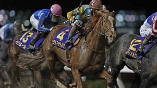 サウジダービーに日本馬33頭が登録 デルマソトガケやウメムスビなど