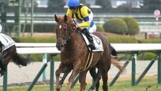 クラシックへの登竜門・紅梅Sは前走マイル組に注目！