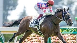 中山芝に“シルバーステート警報” 正月開催は4勝！ 京成杯に2頭がエントリー