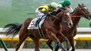 【京成杯枠順確定】セブンマジシャンは7枠7番、ソールオリエンスは4枠4番