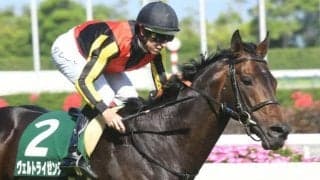 【日経新春杯枠順確定】ヴェルトライゼンデは2枠2番、ヴェローナシチーは5枠8番