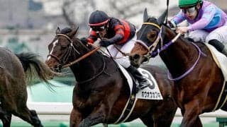 血統と馬体が後押し ホウオウカブキがダート替わりで一変だ！