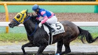 前走負けて強しの2着 響灘特別はメイショウホマレが決める！