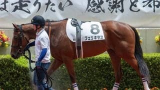 前走は3角で不利大…土曜中京5Rでフェリキタスが悔しさ晴らす！