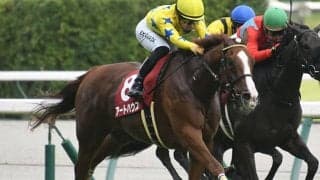 【愛知杯予想】経験不足が致命的？ 評価を落とすべき明け4歳馬の特徴とは