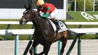 中山の芝はロベルト系などの評価上昇 土曜の馬場チェック