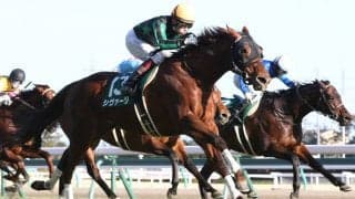 シヴァージが競走馬登録抹消