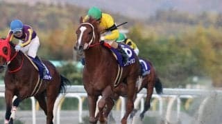 岩手競馬年度代表馬はヴァケーション