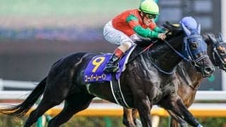 アリストテレスやユーバーレーベンなどAJCCに14頭