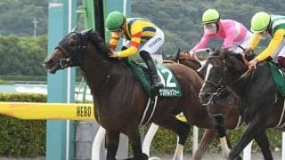 ゲンパチルシファーやアイアンバローズなど東海Sに15頭