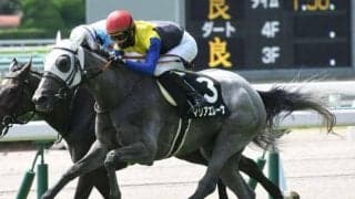 【今日の注目ポイント】中京で牝馬のハンデ重賞・愛知杯