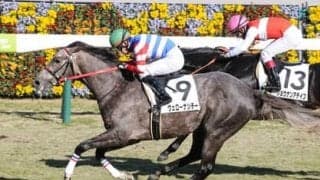 日経新春杯は大荒れか。馬場状態が読みづらいなか、臨機応変に対応できるジョッキー騎乗の２頭に一発の期待