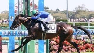 京成杯はレースと相性がいいハーツクライの血に注目。最注目の種牡馬、キタサンブラックの産駒も重賞初制覇を狙う