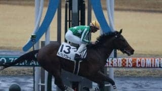 【中京4R新馬戦結果】ディクレアブルームが差し切って白星発進