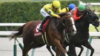 【愛知杯・馬体重】アートハウスは482kg(+10)、サンテローズは518kg(-14)