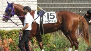 【日曜中山3R】エスポ産駒得意の中山ダ1800替わり サーブルミラージュが本領発揮だ