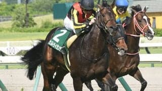 【日経新春杯予想】5歳以上は過信禁物？ 若さと勢いが大切な古馬ハンデ重賞