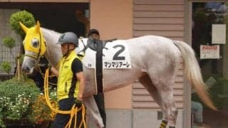 【日曜中山2R】母系も馬体もダート向き 初砂のマンマリアーレが激変だ