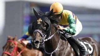 【日曜中京12R】少頭数も馬場も歓迎！ ヒルノローザンヌが大外一気だ