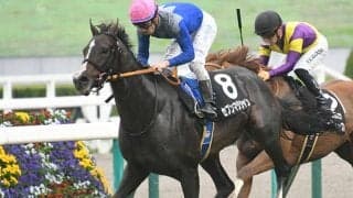 【京成杯予想】輸送の疲れが圧し掛かる？ 余力の有無が取捨のポイント