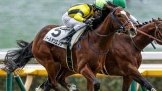 【京成杯前日オッズ】ソールオリエンスが2.9倍で1番人気