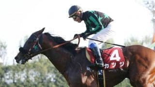 カツジが競走馬登録抹消