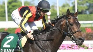 【AI予想・日経新春杯】斤量増も関係なし!? 世代トップレベル「軸鉄板」で相手探しの一戦か