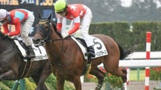 1月14日の競走中止、出来事の一覧 ルージュグラースが急性心不全を発症/中山・中京・小倉