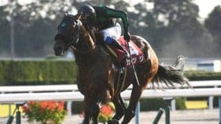 【JRA】重賞2勝のカツジが引退、今後は乗馬に