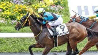 【日曜トラックバイアス】中山の芝はキングマンボ祭り！ 土曜5レース中4つで勝利