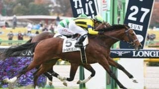 波乱含みの京成杯。穴党記者は今の中山の馬場で力を発揮しそうな実力馬２頭に目を向ける