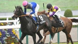 【京成杯予想】2度の急坂を越える舞台 スタミナに裏付けされた持続力が求められる