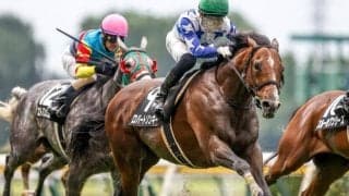 【日経新春杯予想】過去10年では4歳馬が圧倒的有利なレース