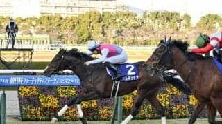 厩舎スタッフが「センスの塊」というドルチェモア。２歳王者はこの春、さらなる飛躍を遂げるのか