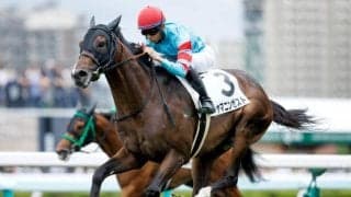 【日経新春杯予想】7歳以上のベテラン勢は厳しい？ 狙うのは前走GIの4歳勢と3勝クラス組？