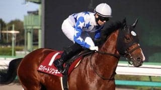 【日経新春杯・馬体重】ロバートソンキーは476kg(-2)、ヴェローナシチーは506kg(+6)