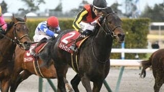 【日経新春杯結果】ヴェルトライゼンデが接戦を制す トップハンデをこなして重賞2勝目