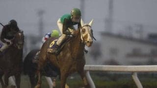 【東海S】クリノドラゴン、サンライズウルスらが登録